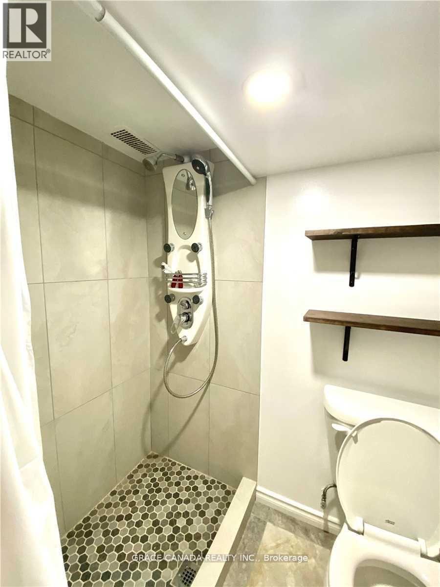 Basemnt - 4765 Sixth Avenue, Niagara Falls, Ontario  L2E 4T6 - Photo 6 - X12896702