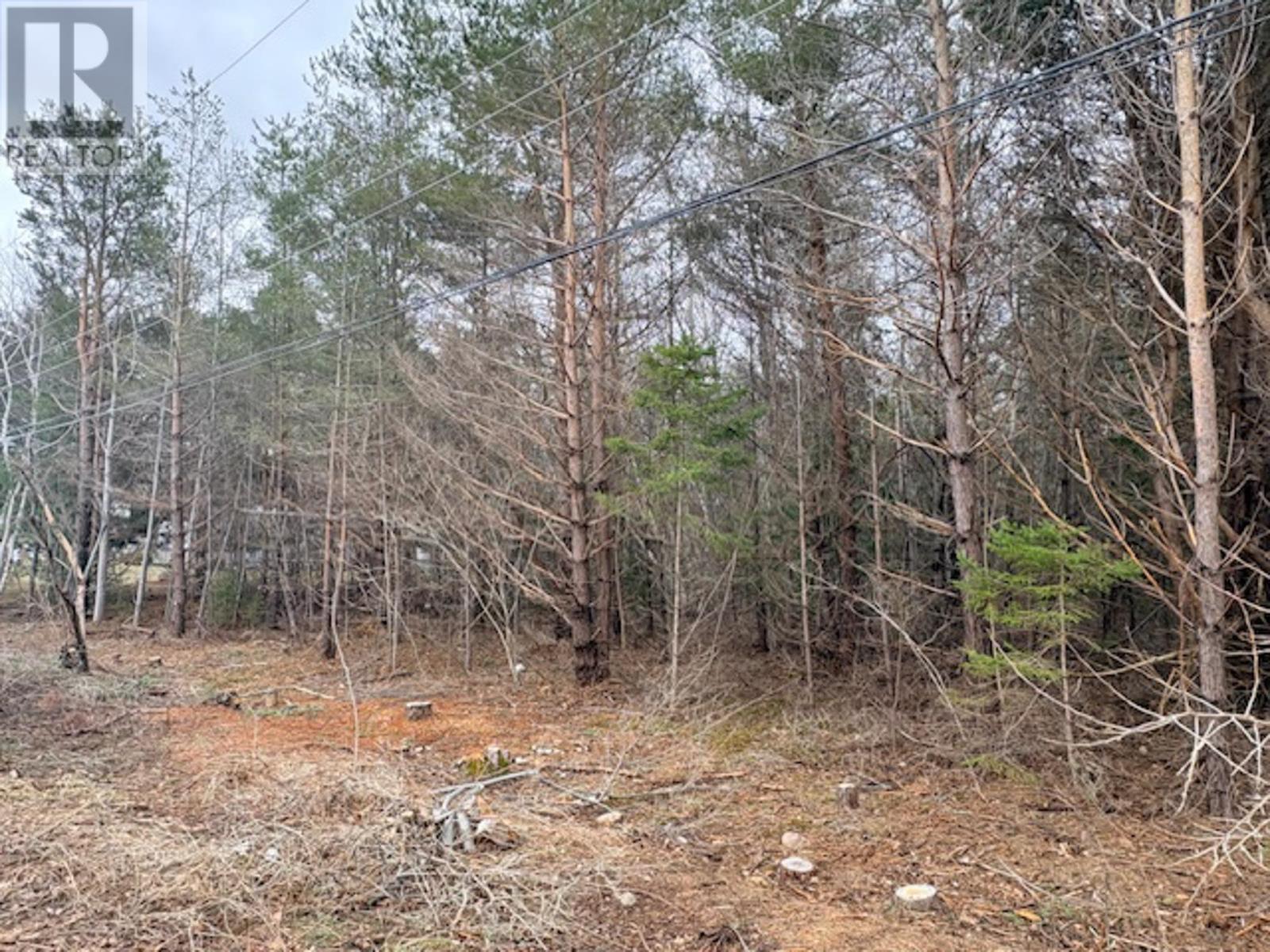 Lot 3 Wanda Lynn Drive, Nictaux, Nova Scotia  B0S 1P0 - Photo 3 - 202604866
