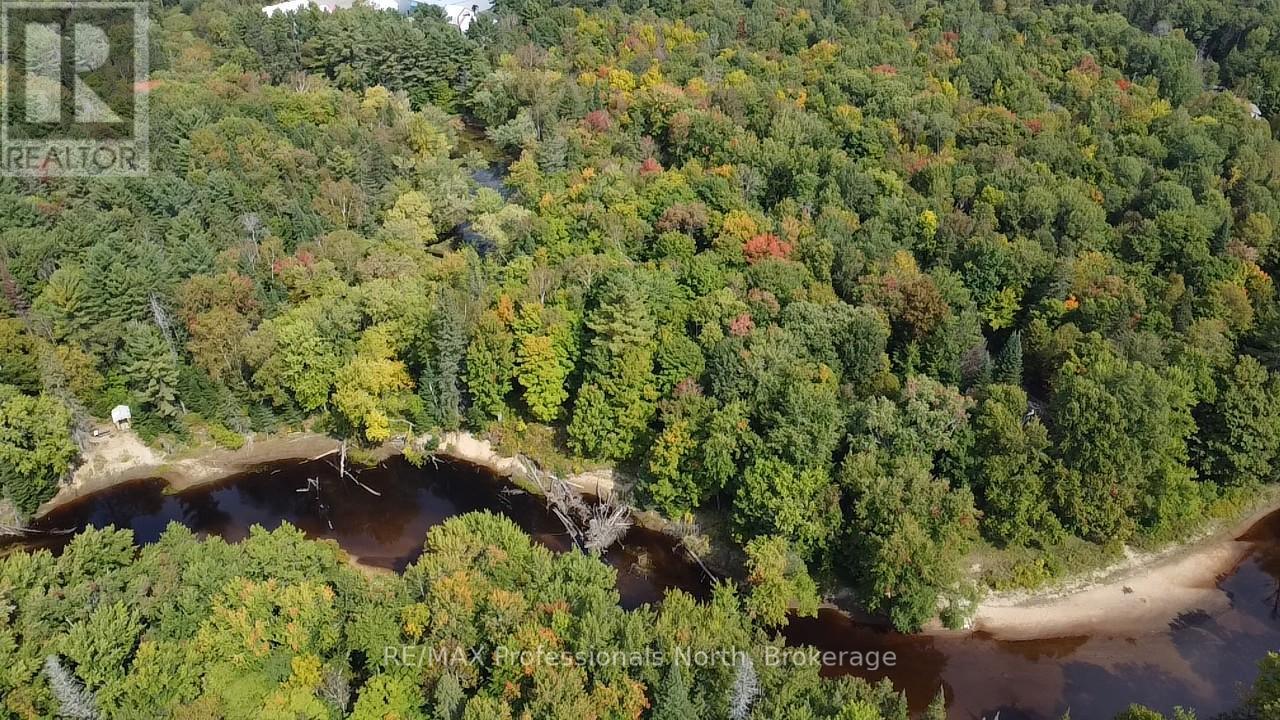 304 Old North Road N, Huntsville, Ontario  P1H 2J4 - Photo 10 - X12897164