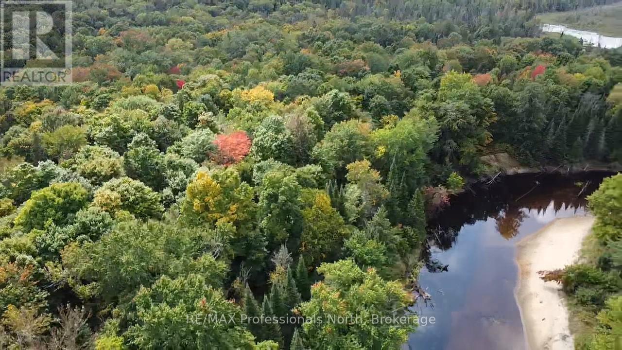 304 Old North Road N, Huntsville, Ontario  P1H 2J4 - Photo 14 - X12897164