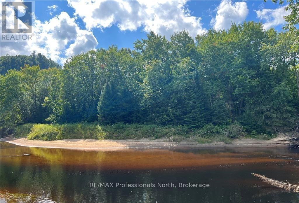 304 Old North Road N, Huntsville, Ontario  P1H 2J4 - Photo 17 - X12897164