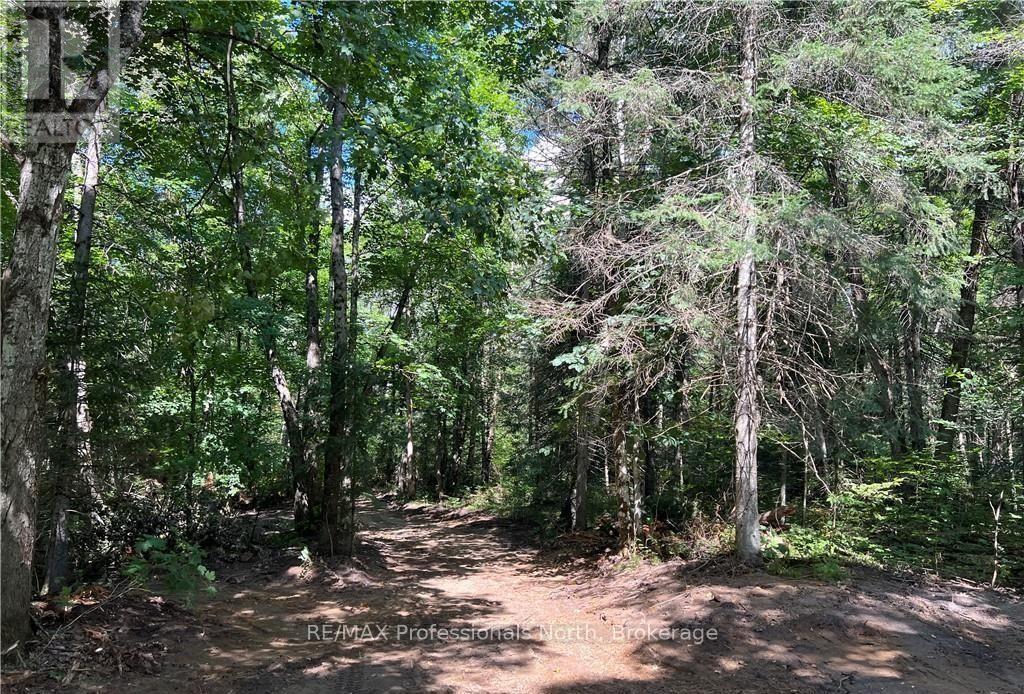 304 Old North Road N, Huntsville, Ontario  P1H 2J4 - Photo 23 - X12897164