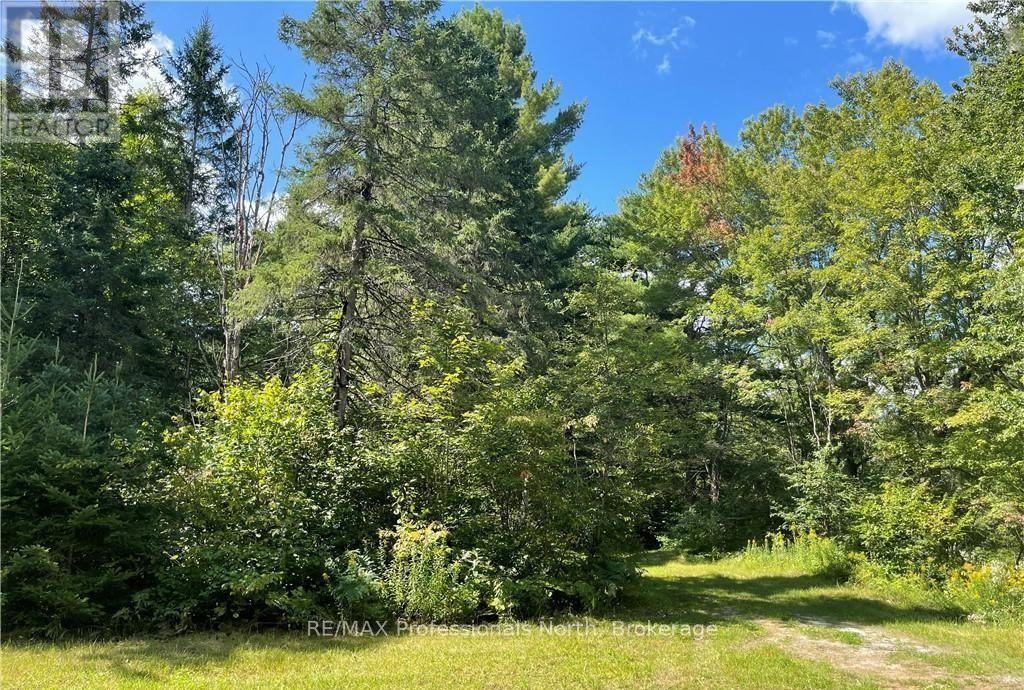 304 Old North Road N, Huntsville, Ontario  P1H 2J4 - Photo 27 - X12897164