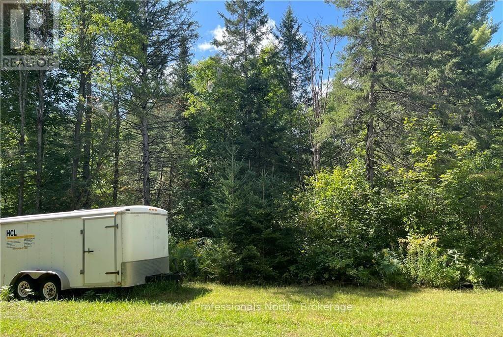 304 Old North Road N, Huntsville, Ontario  P1H 2J4 - Photo 6 - X12897164