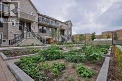 147 - 2891 Rio Court, Mississauga, Ontario  L5M 0S3 - Photo 18 - W12897064