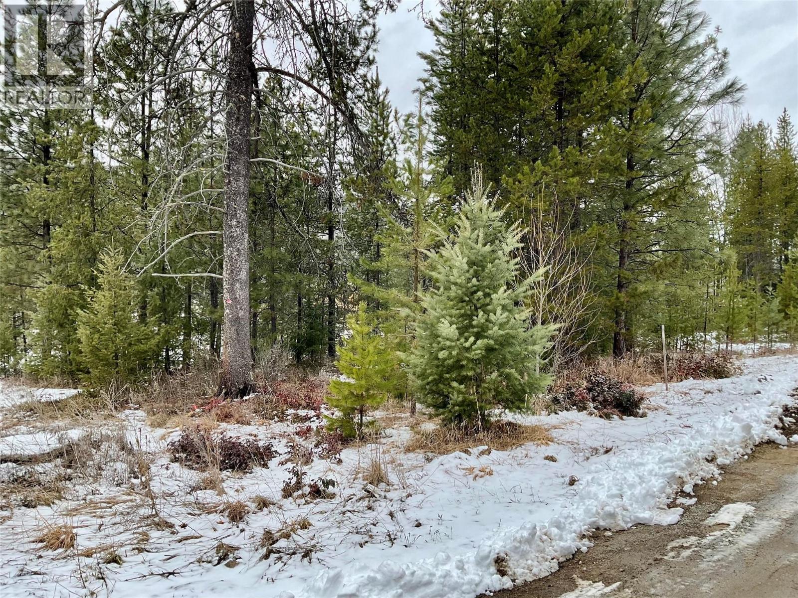 451 Ponderosa Lane, Greenwood, British Columbia  V0H 1J0 - Photo 5 - 10379708