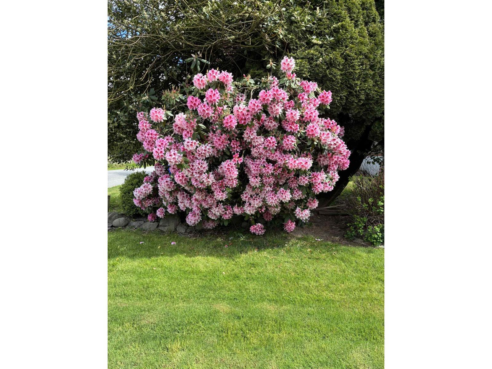 46464 Brice Road, Fairfield Island, Chilliwack, British Columbia  V2P 3V5 - Photo 32 - R3092054