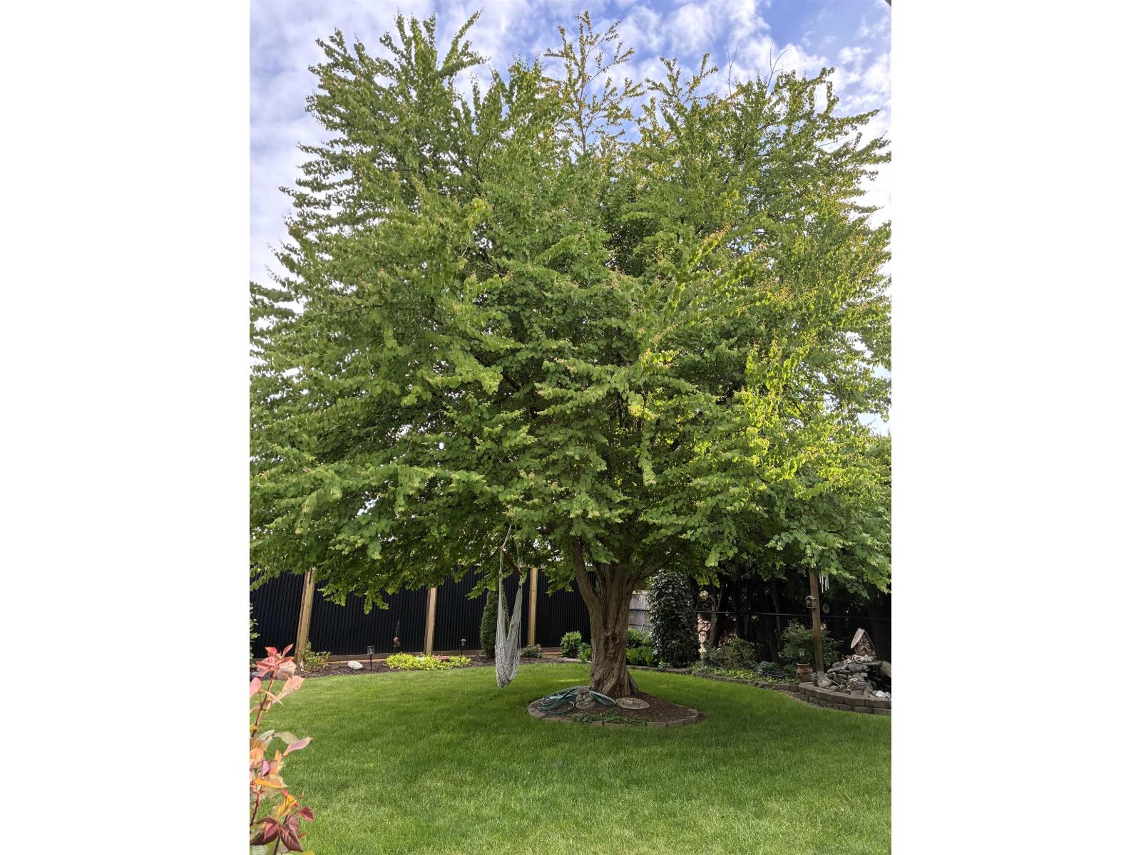 46464 Brice Road, Fairfield Island, Chilliwack, British Columbia  V2P 3V5 - Photo 36 - R3092054