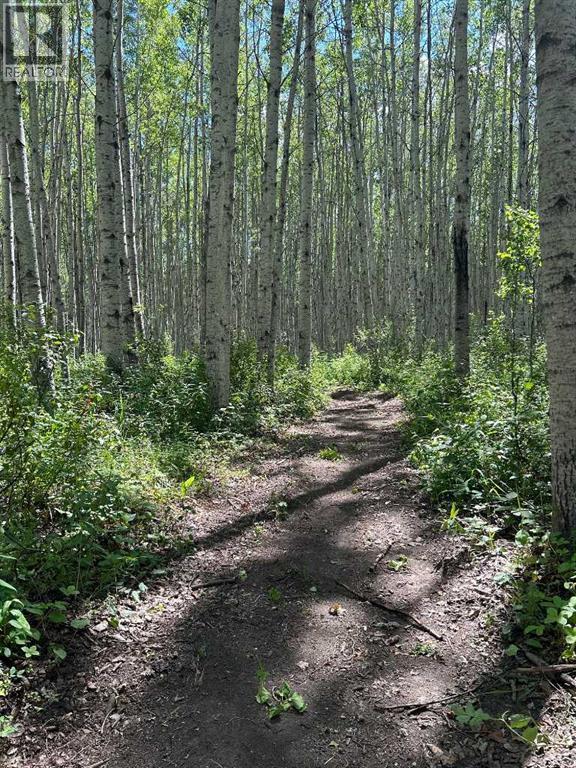 69565 Range Road 65, Grovedale, Alberta  T0H 1X0 - Photo 39 - A2292813