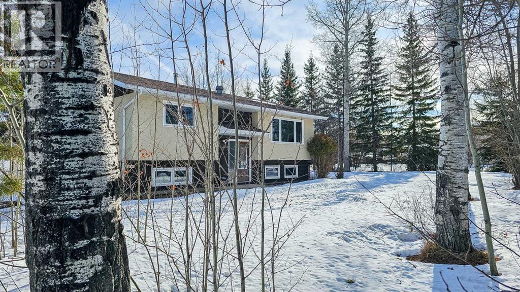 69565 Range Road 65, Grovedale, Alberta  T0H 1X0 - Photo 2 - A2292813