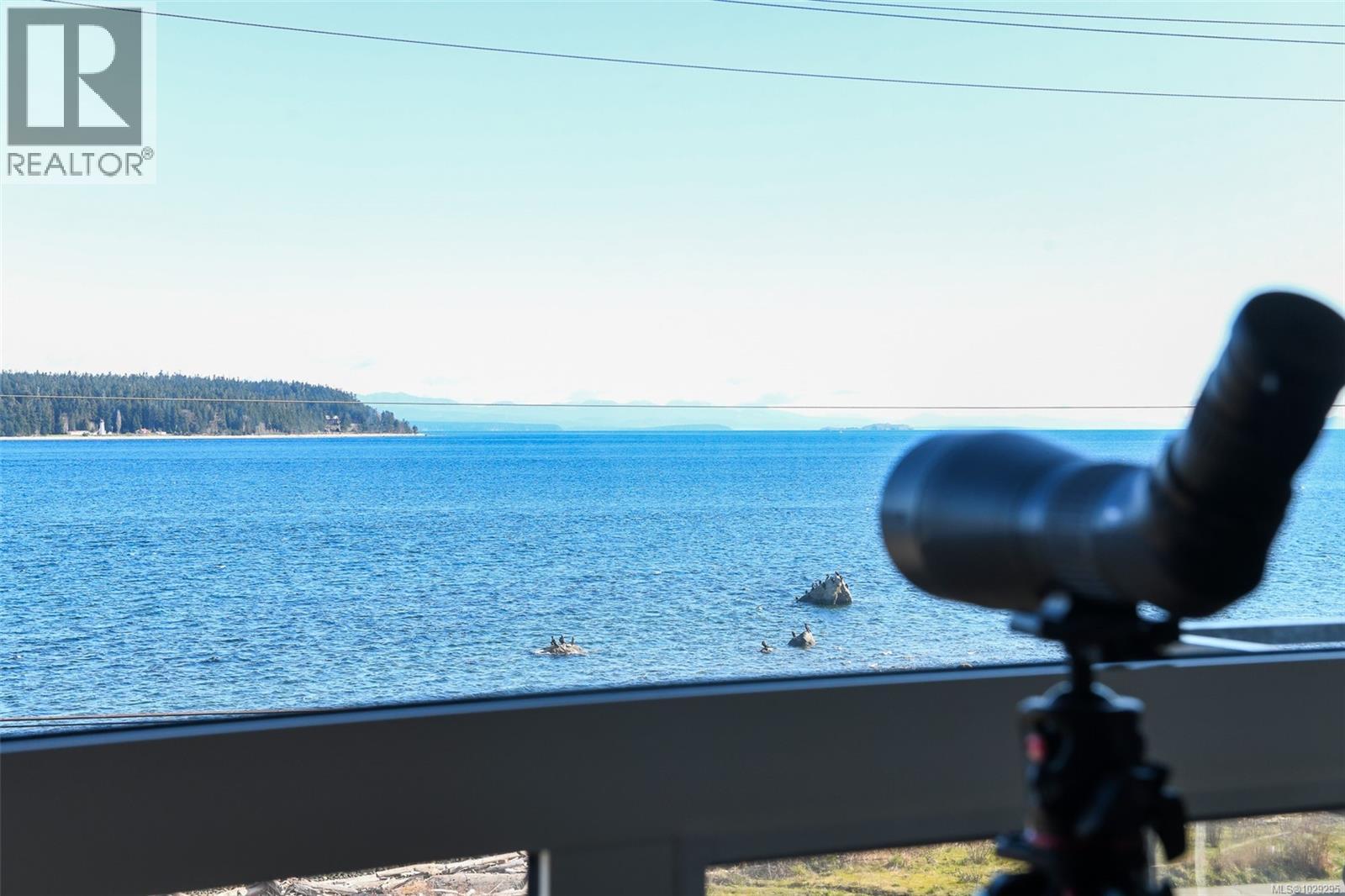 302 536 Island Hwy, Campbell River, British Columbia  V9W 1A5 - Photo 2 - 1029295