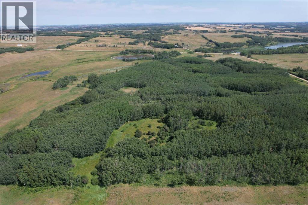On Hwy 816, Rural Red Deer County, Alberta  T4E 0V5 - Photo 17 - A2155823