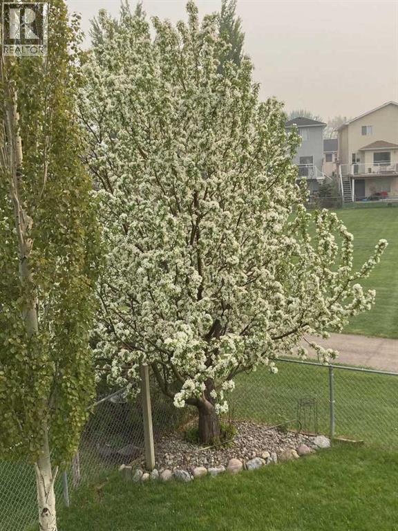 417 Lineham Acres Drive Nw, High River, Alberta  T1V 1W6 - Photo 41 - A2293963