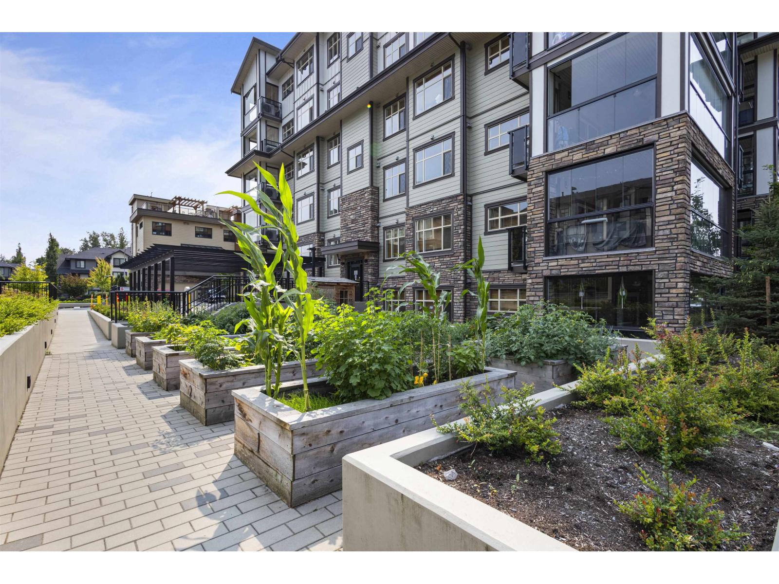 206 8538 203a Street, Langley, British Columbia  V2Y 3P9 - Photo 21 - R3099695