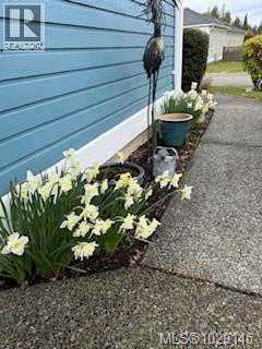 1303 Oceanside Dr, Qualicum Beach, British Columbia  V9K 2K4 - Photo 7 - 1029145