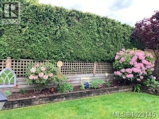 1303 Oceanside Dr, Qualicum Beach, British Columbia  V9K 2K4 - Photo 10 - 1029145