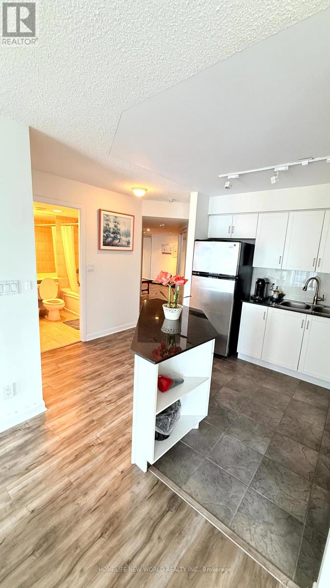 4108 - 210 Victoria Street, Toronto, Ontario  M5B 2R3 - Photo 8 - C12897610