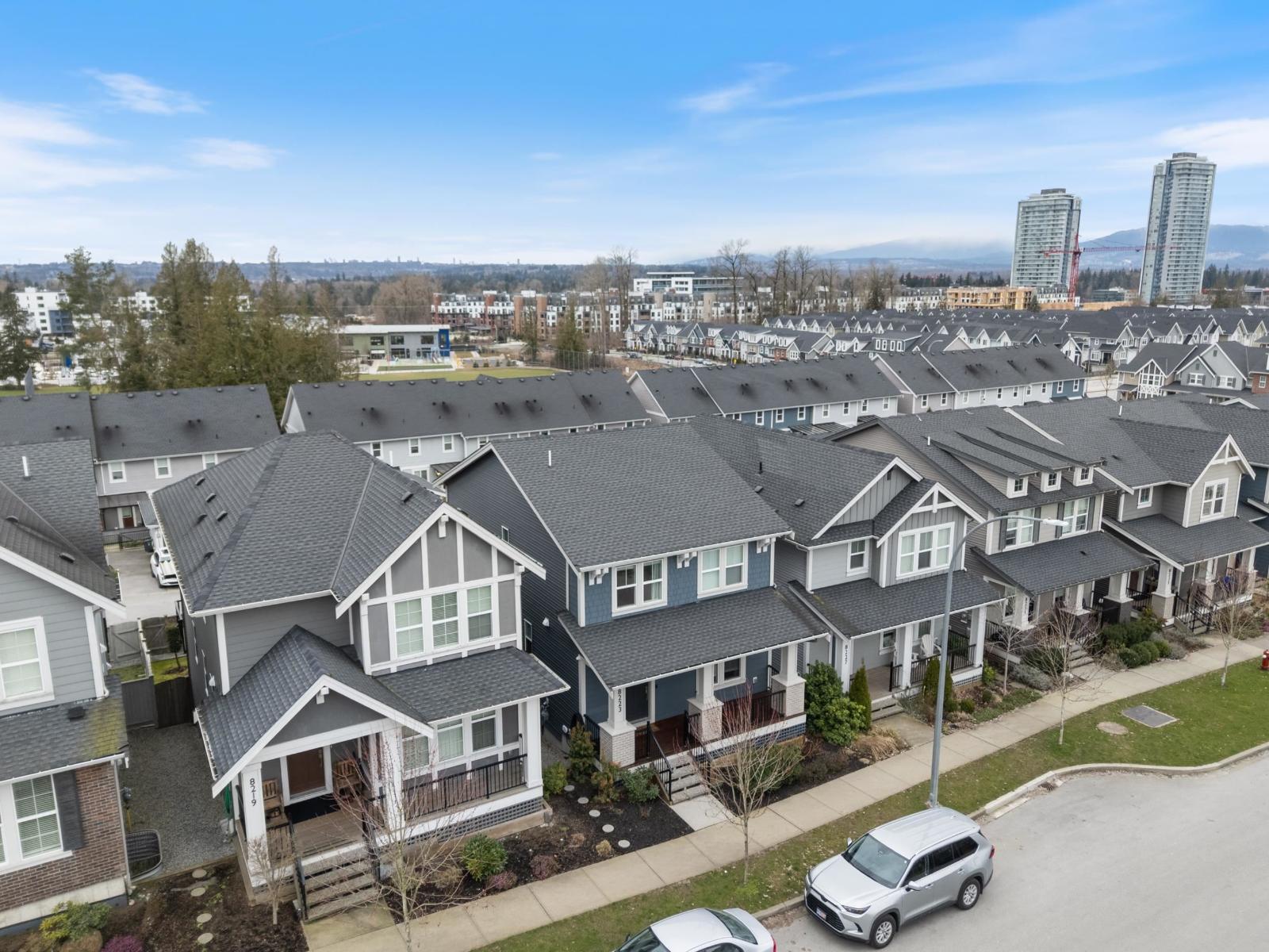 8223 202b Street, Langley, British Columbia  V2Y 0Z1 - Photo 3 - R3101389