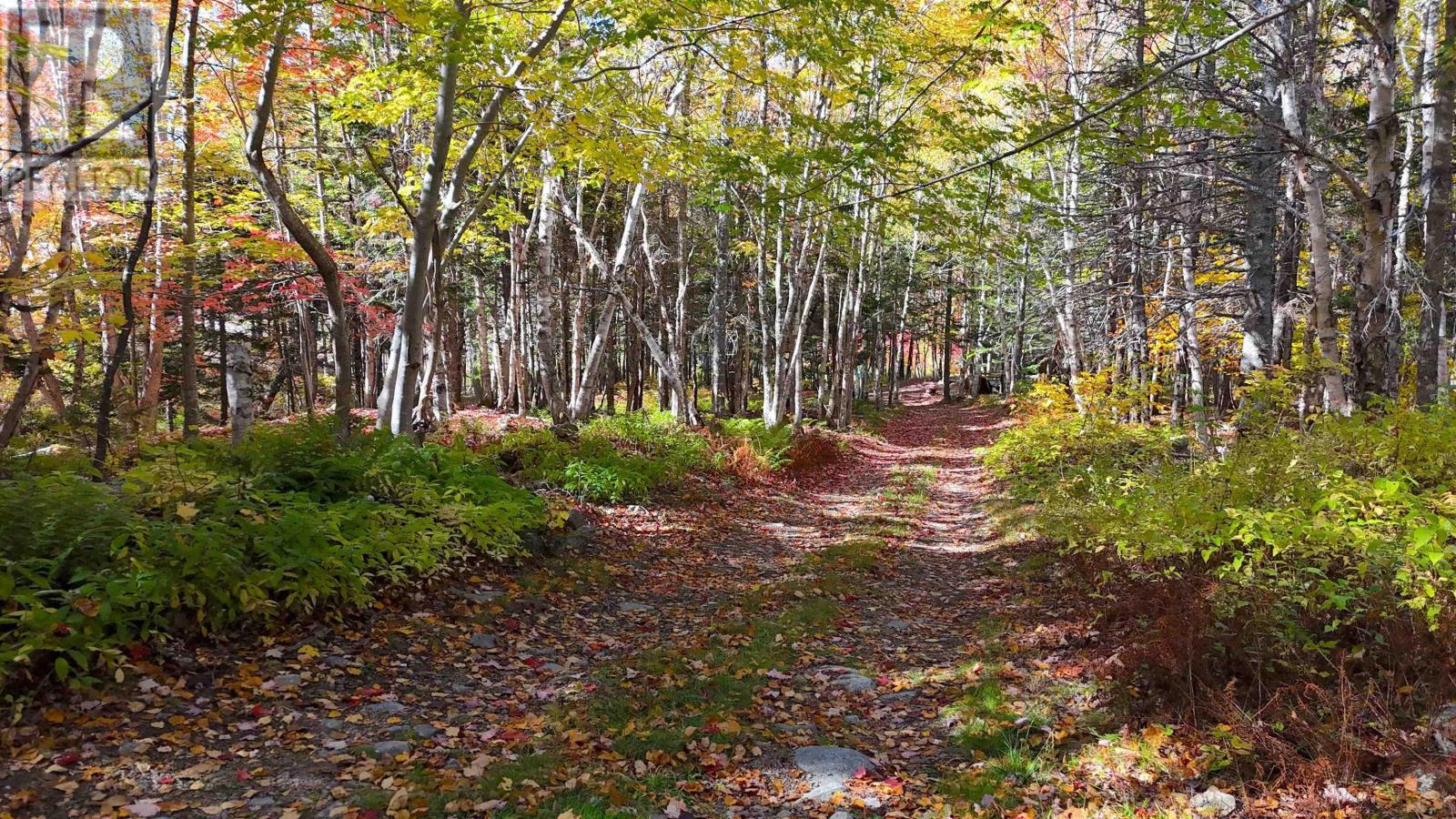 47403 Cabot Trail, Tarbotvale, Nova Scotia  B0E 1B0 - Photo 6 - 202604879
