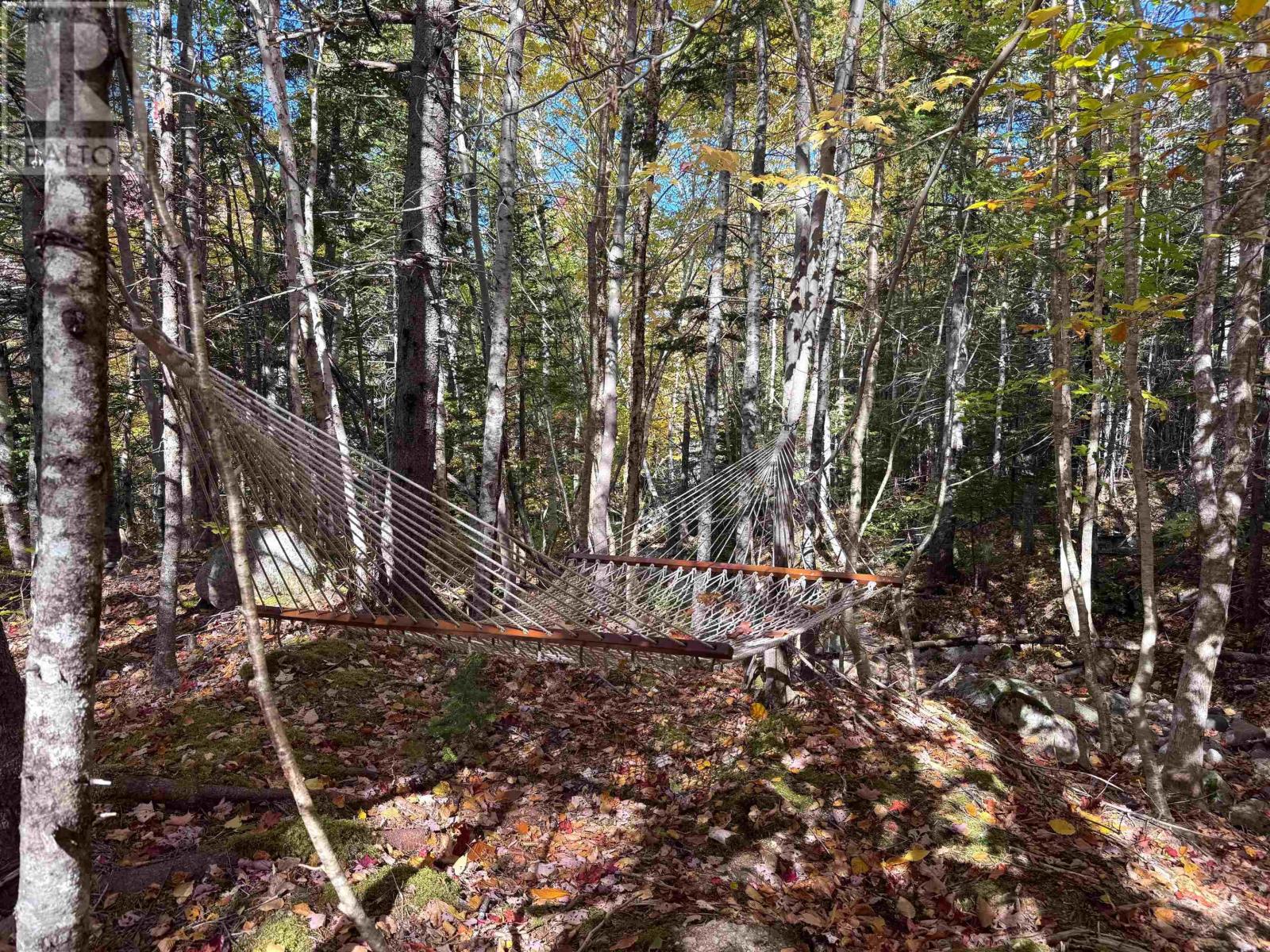 47403 Cabot Trail, Tarbotvale, Nova Scotia  B0E 1B0 - Photo 28 - 202604880