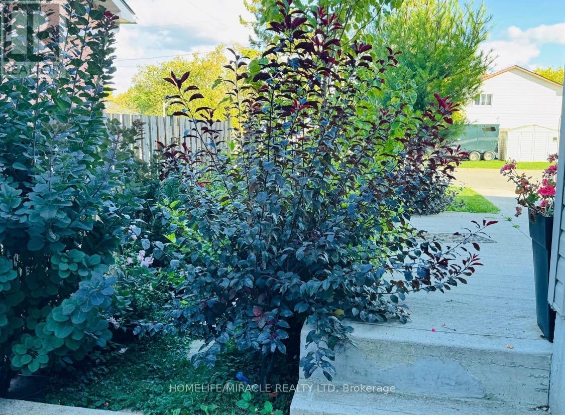 H - 1 Chisholm Street, Orangeville, Ontario  L9W 6Y6 - Photo 5 - W12897746