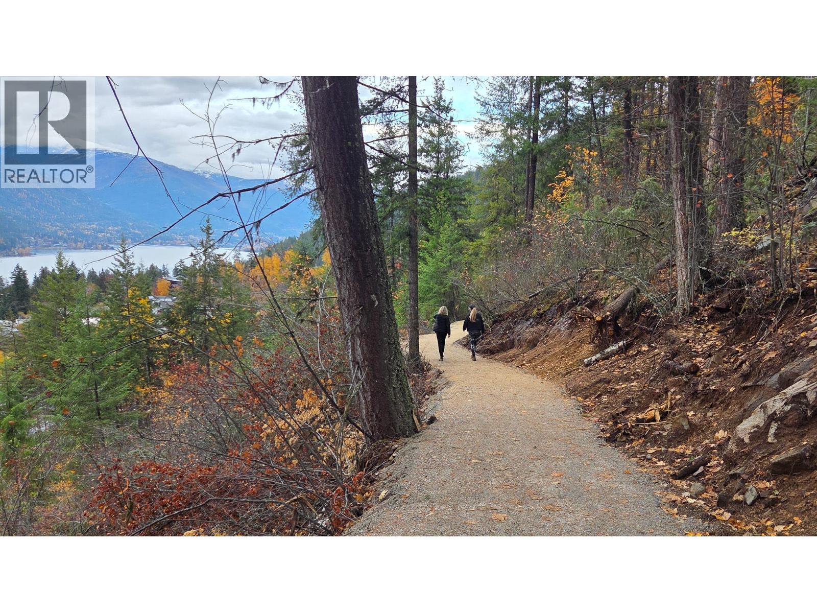 Lot 1 Trevor Street, Nelson, British Columbia  V1L 6C5 - Photo 16 - 10379208