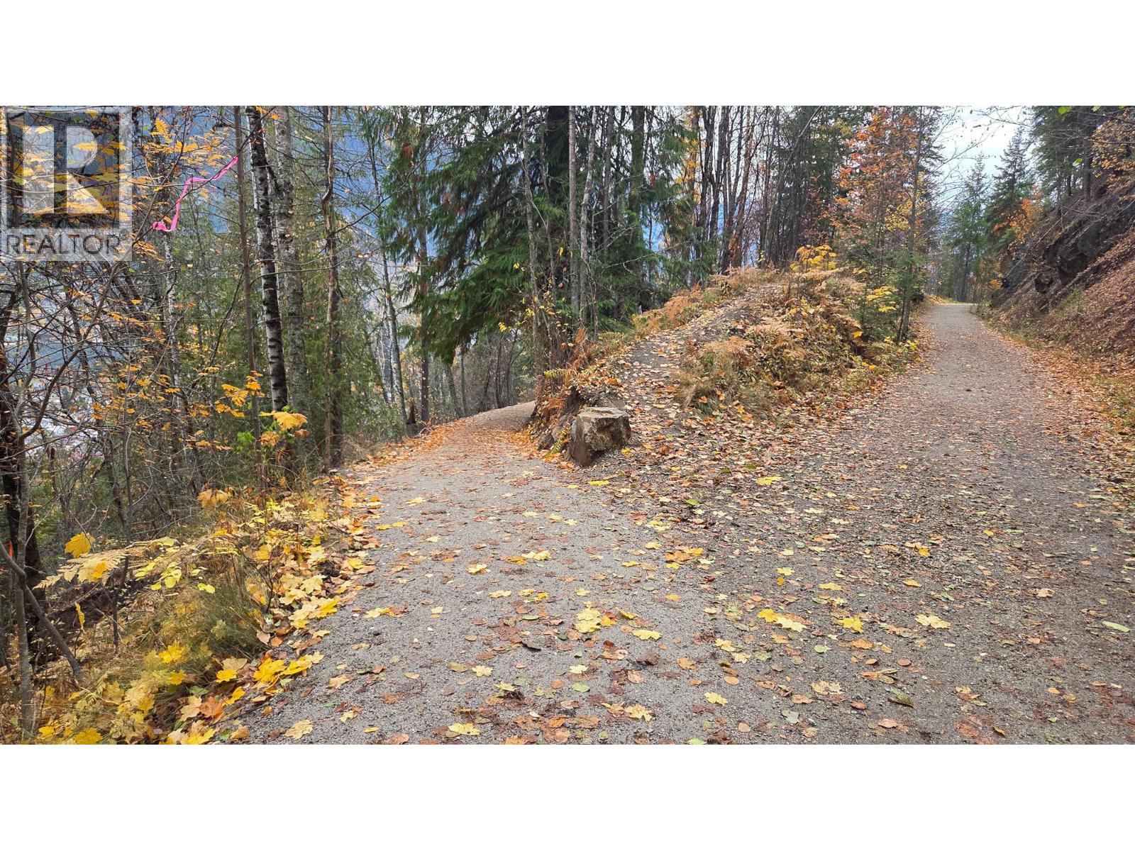 Lot 1 Trevor Street, Nelson, British Columbia  V1L 6C5 - Photo 18 - 10379208