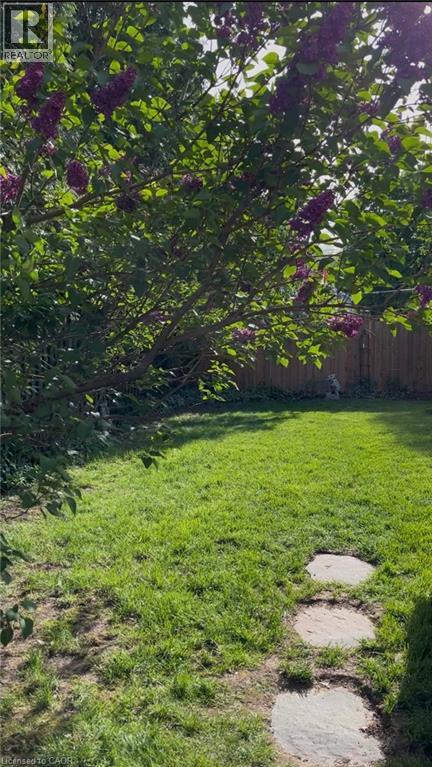 13 Cameron Avenue, Dundas, Ontario  L9H 1P4 - Photo 48 - 40807482