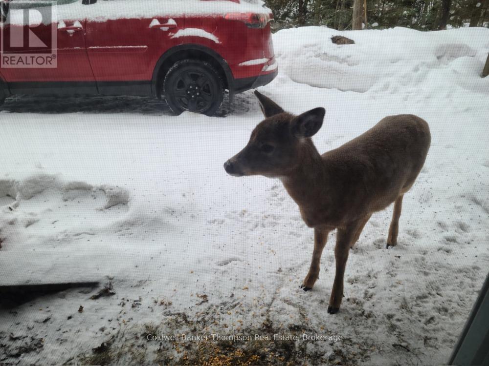 475 Chapman Drive E, Magnetawan, Ontario  P0A 1C0 - Photo 21 - X12887606