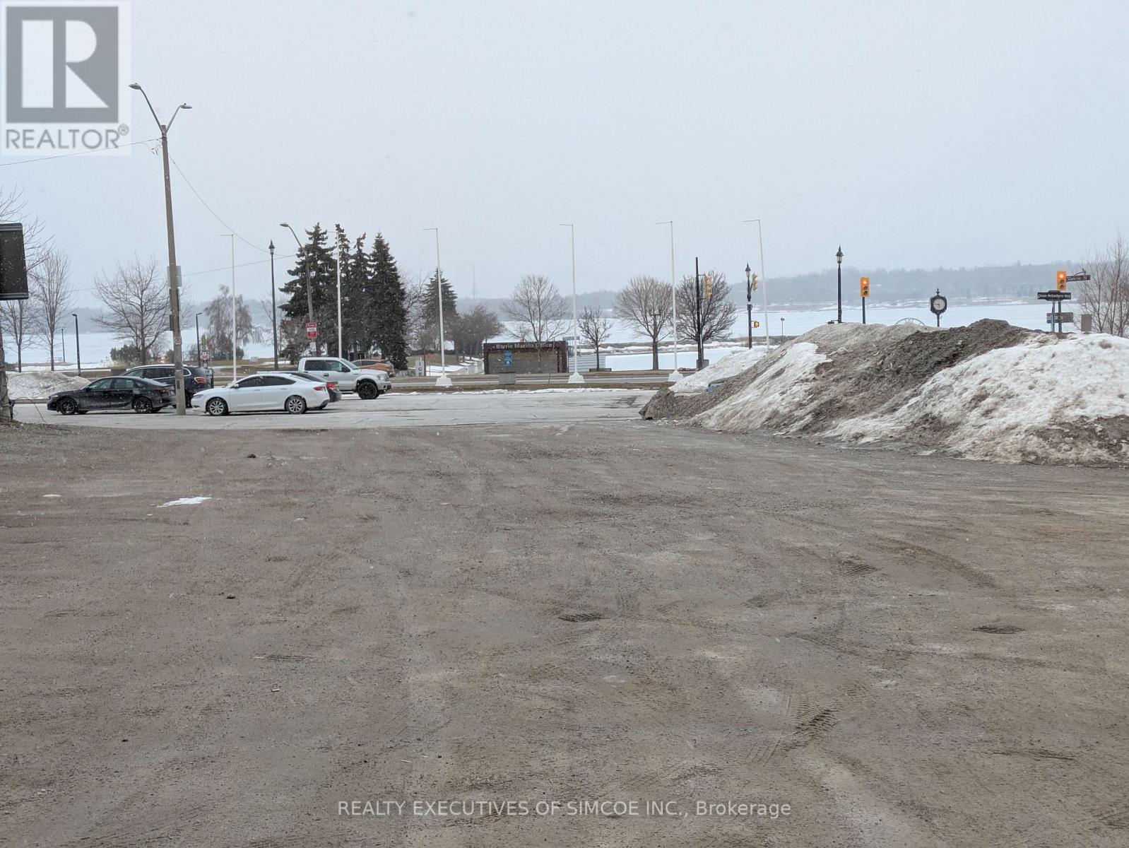 12 Chase Mceachern Way, Barrie (City Centre), Ontario  L4M 1A1 - Photo 9 - S12897812