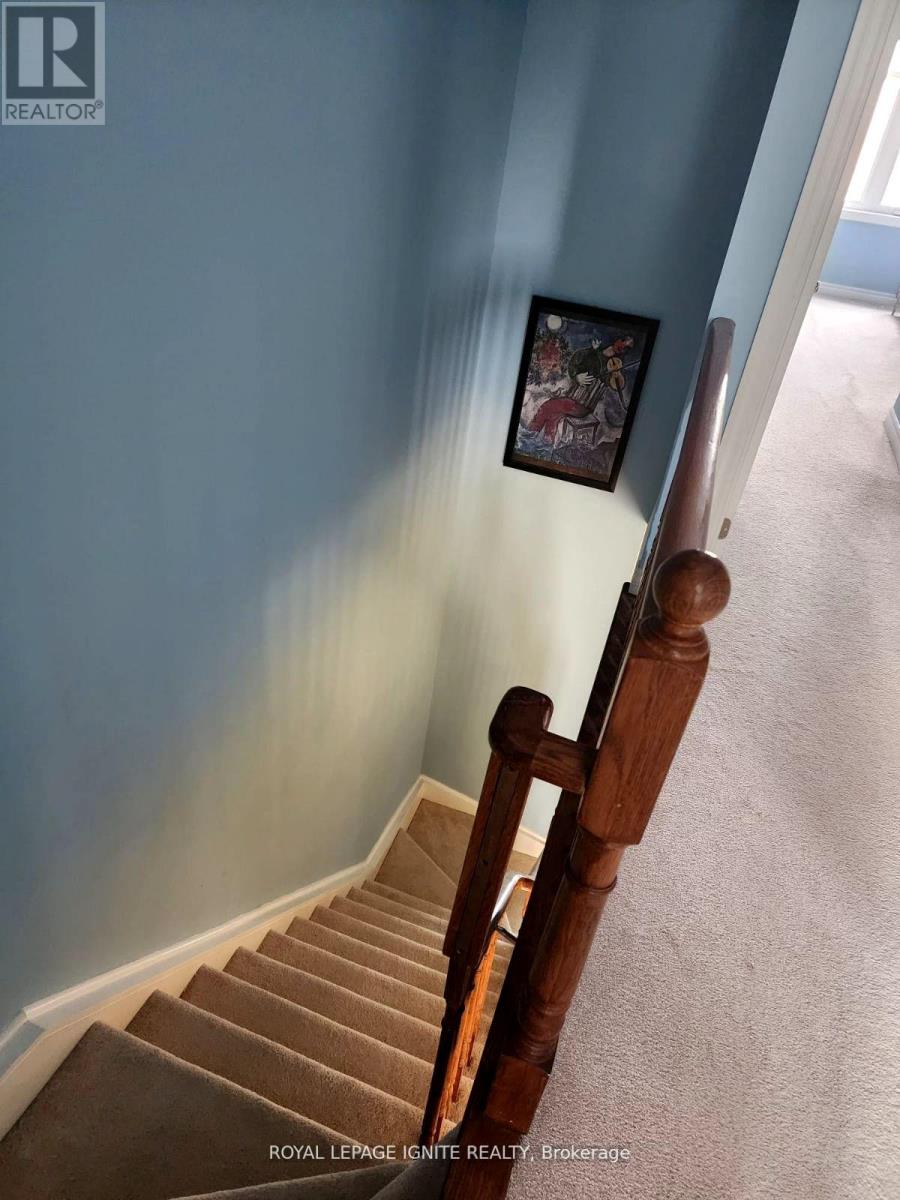 4 - 1355 Rathburn Road E, Mississauga, Ontario  L4W 5R5 - Photo 5 - W12897850