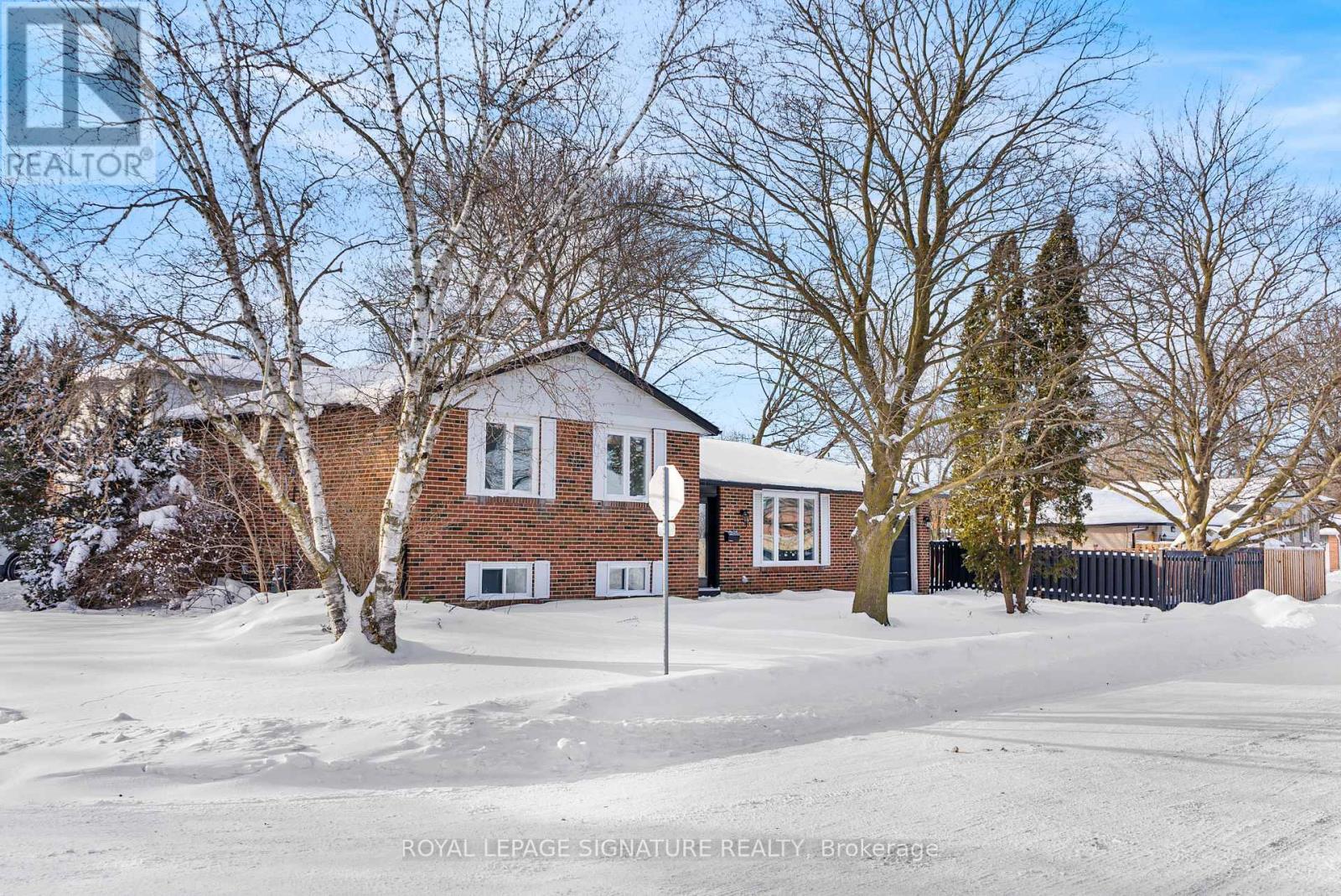 246 Hodgson Drive, Newmarket, Ontario  L3Y 1E2 - Photo 4 - N12897908