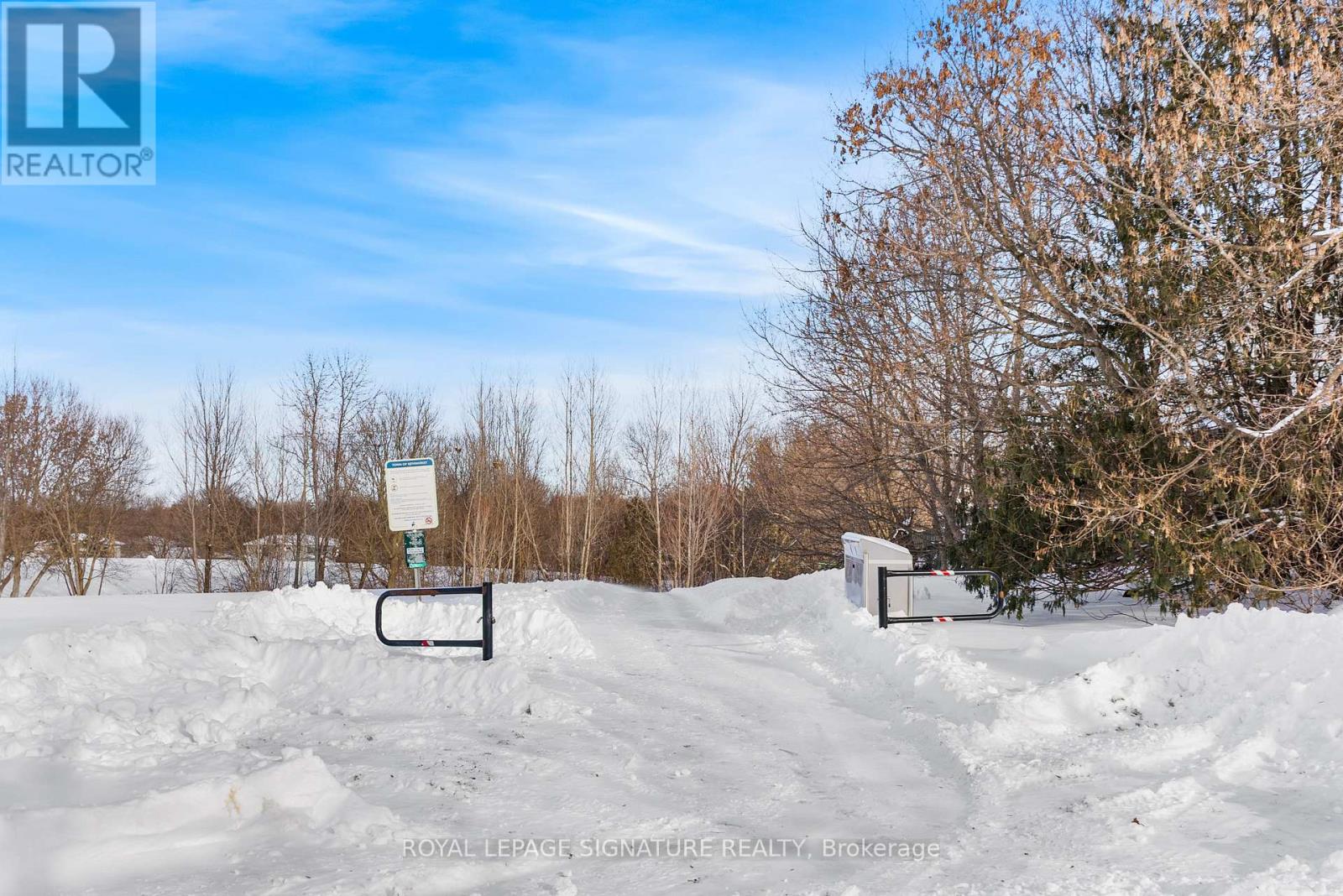 246 Hodgson Drive, Newmarket, Ontario  L3Y 1E2 - Photo 6 - N12897908