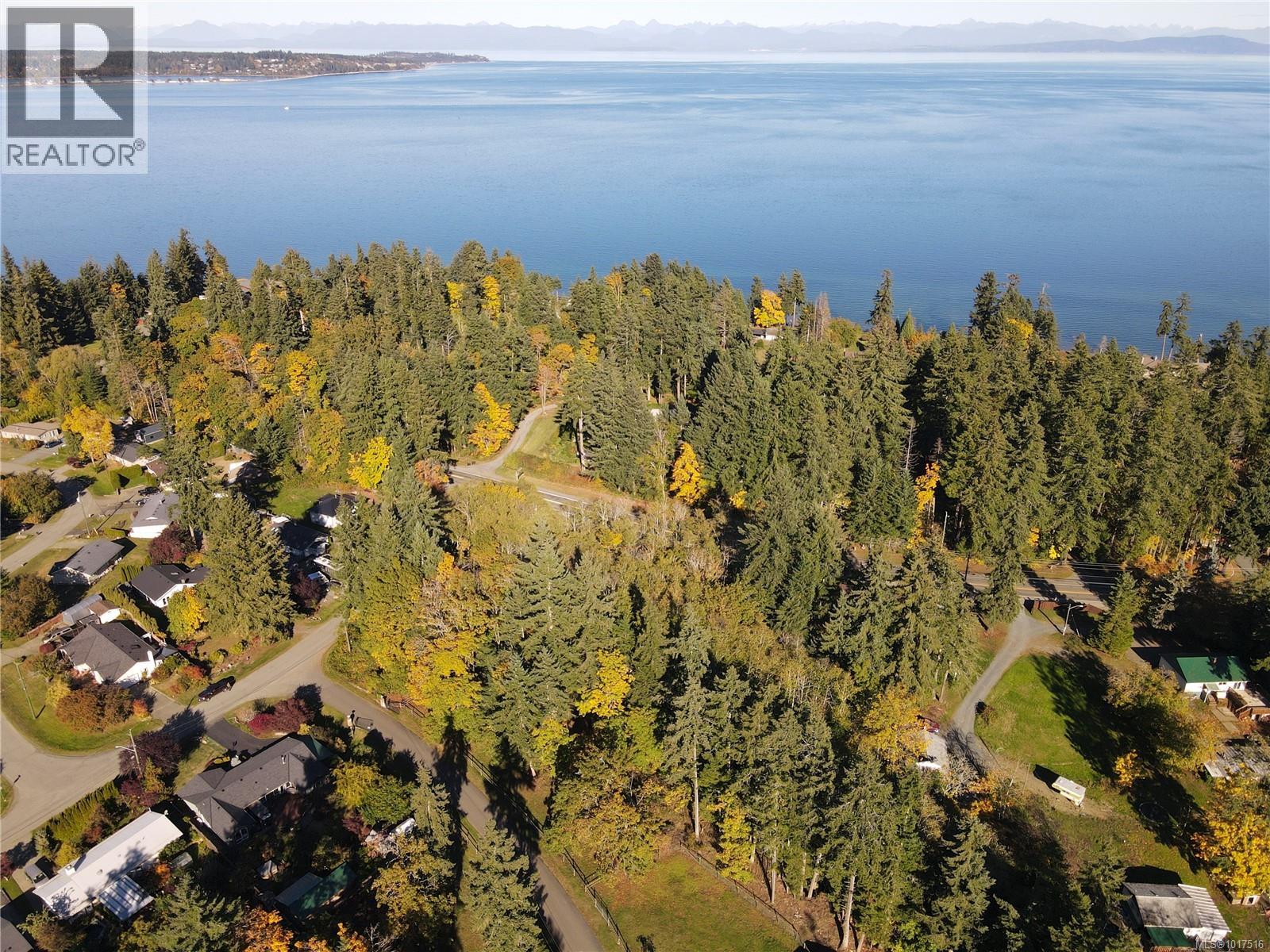 Lot 4 Island Hwy S, Royston, British Columbia  V9N 9T1 - Photo 9 - 1017516