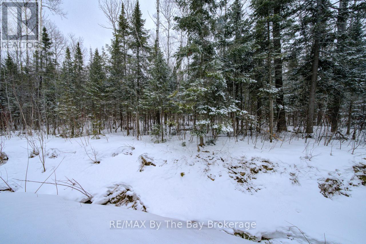 397 Silver Birch Drive, Tiny, Ontario  L9M 0M5 - Photo 42 - S12898068