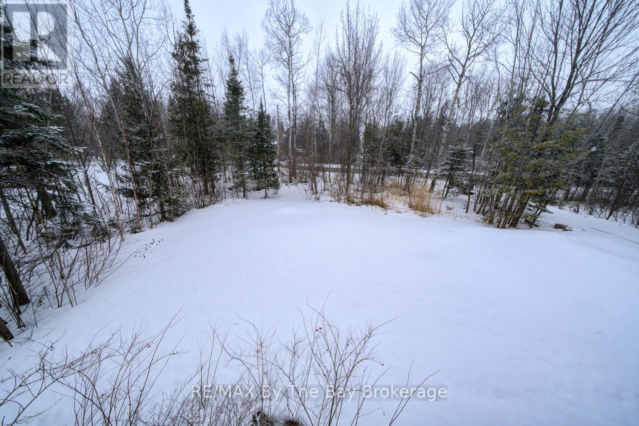 397 Silver Birch Drive, Tiny, Ontario  L9M 0M5 - Photo 43 - S12898068