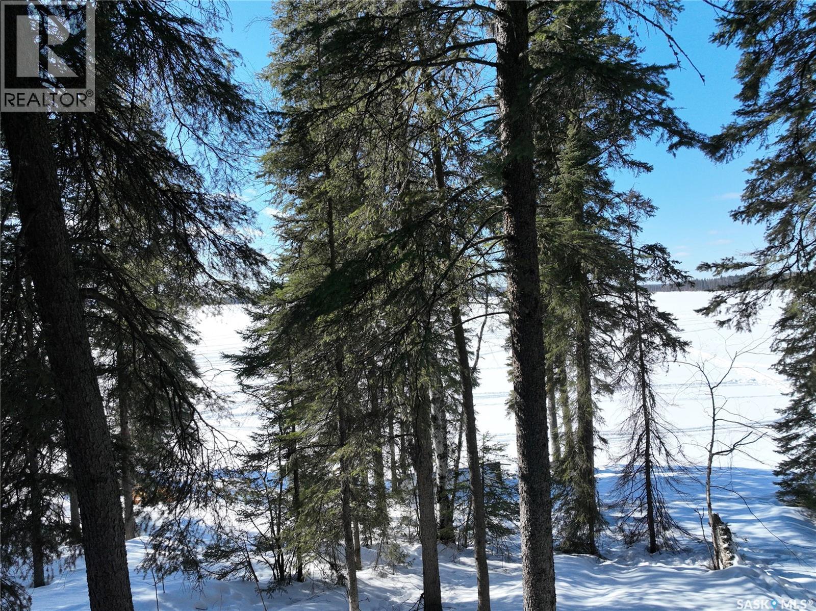 Lakefront - Lower Fishing Lake, Narrow Hills Provincial Park, Saskatchewan  S0J 2J0 - Photo 23 - SK030718
