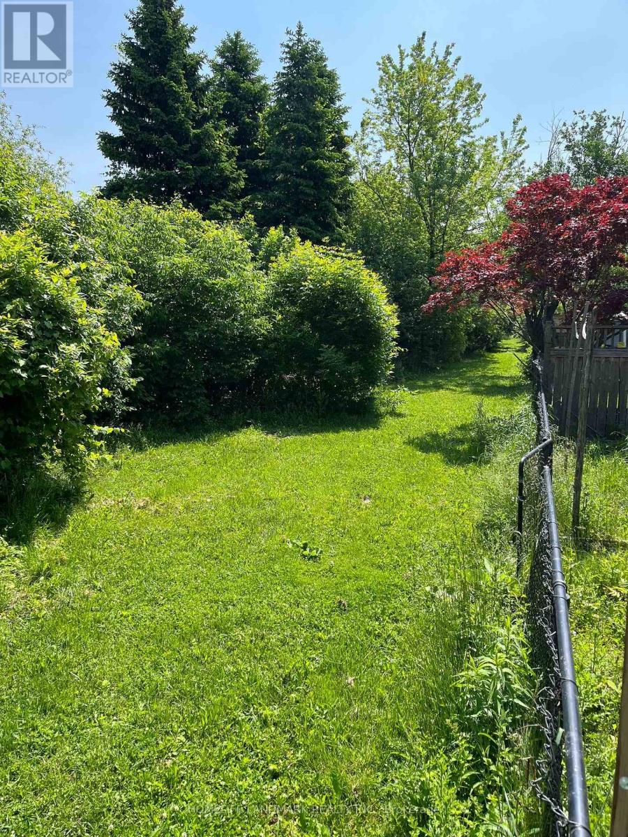 156 Pressed Brick Drive, Brampton, Ontario  L6V 4K6 - Photo 35 - W12898102