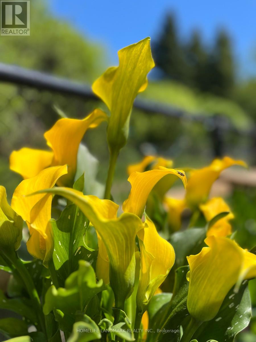 156 Pressed Brick Drive, Brampton, Ontario  L6V 4K6 - Photo 47 - W12898102