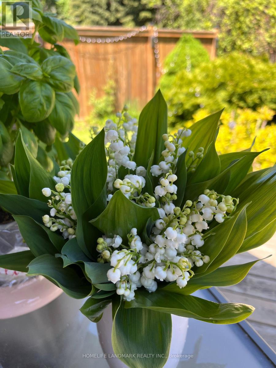 156 Pressed Brick Drive, Brampton, Ontario  L6V 4K6 - Photo 49 - W12898102