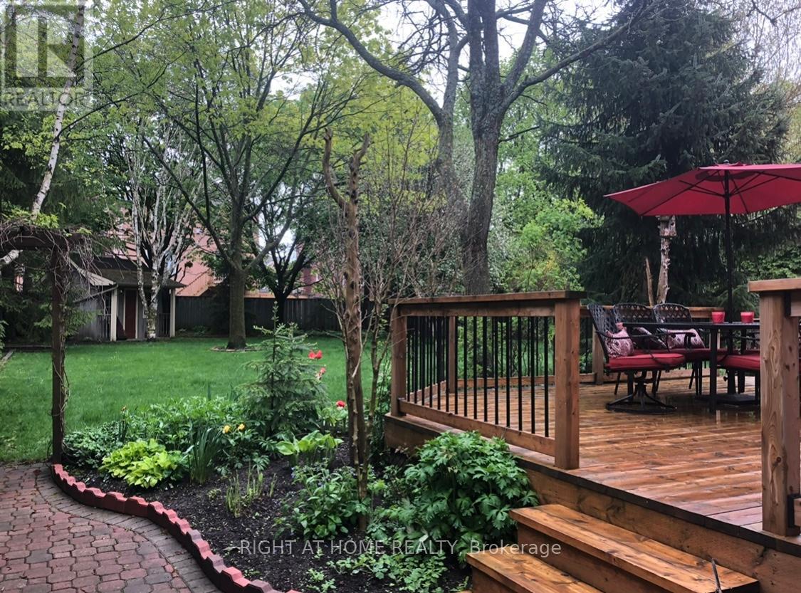 236 Mccaffrey Road, Newmarket, Ontario  L3X 1J3 - Photo 40 - N12898196