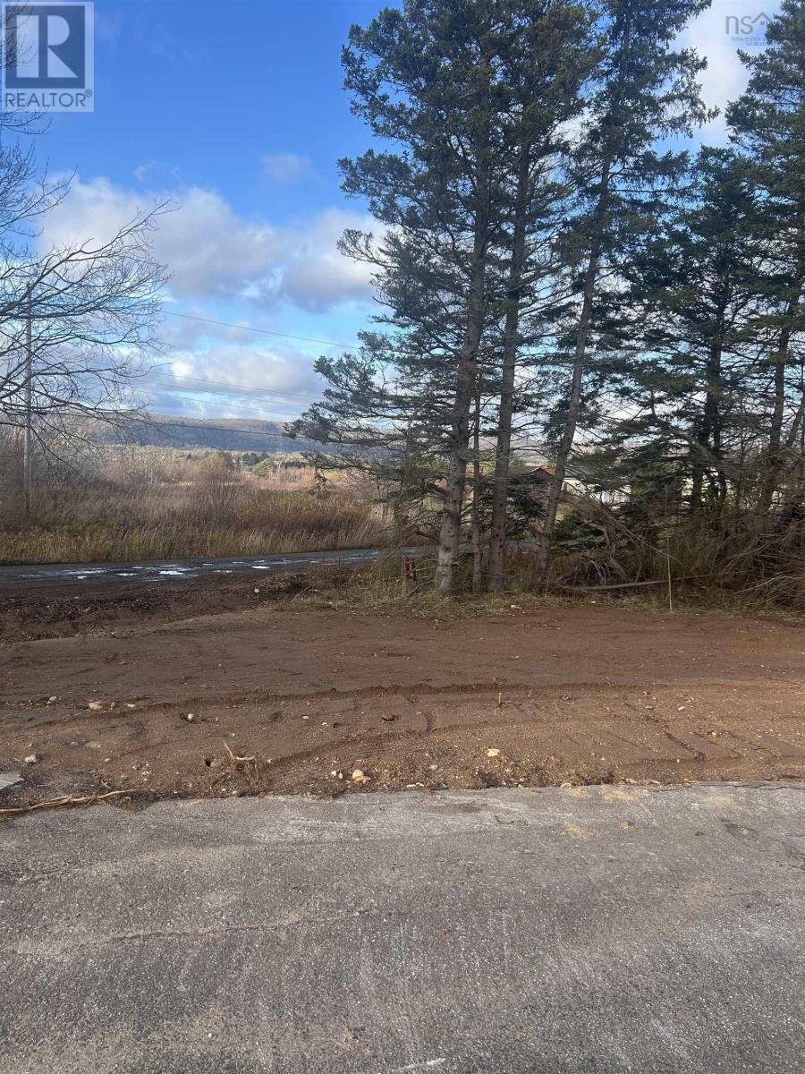 3581 Highway 201, Centrelea, Nova Scotia  B0S 1C0 - Photo 3 - 202527128