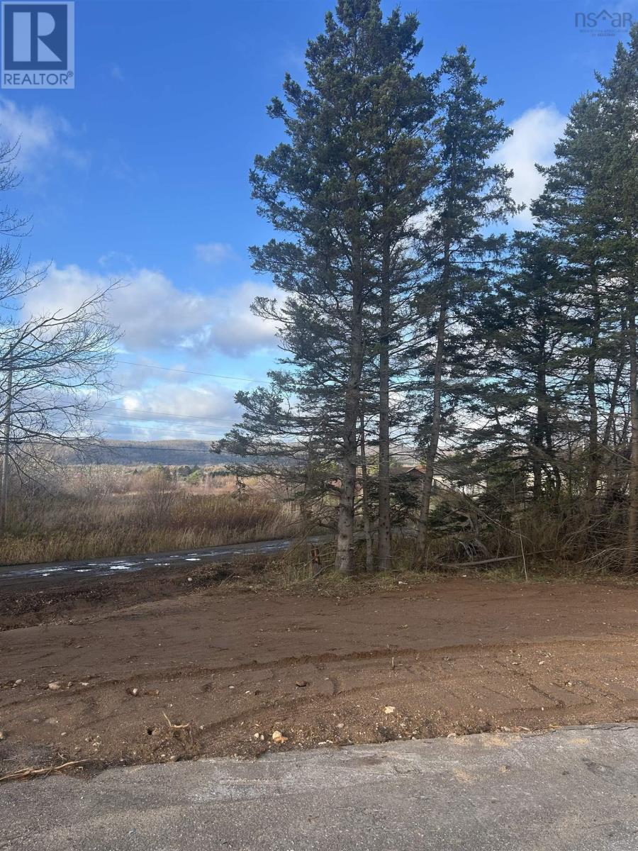 3581 Highway 201, Centrelea, Nova Scotia  B0S 1C0 - Photo 4 - 202527128