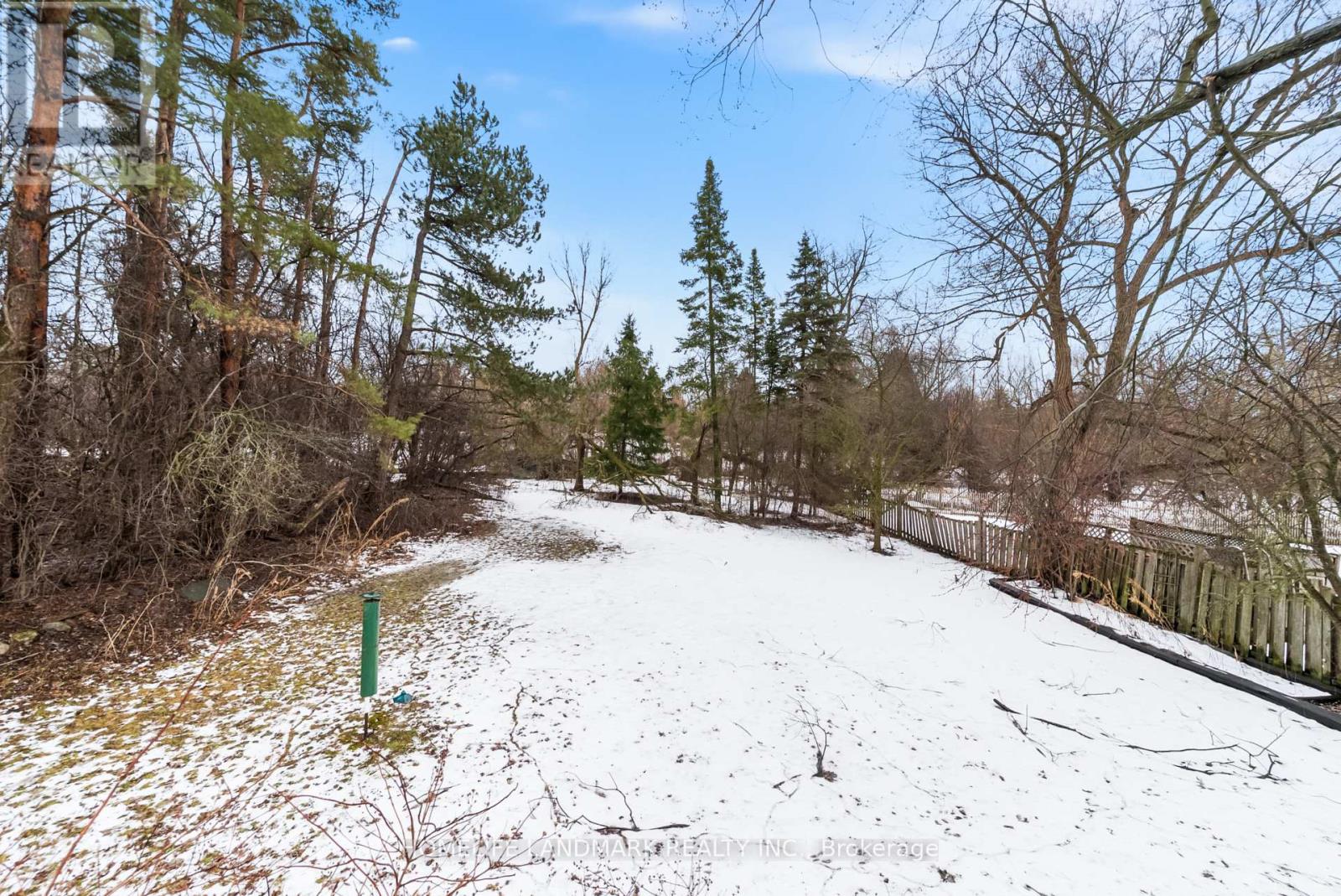 36 Cynthia Crescent, Richmond Hill, Ontario  L4E 2R1 - Photo 43 - N12898230