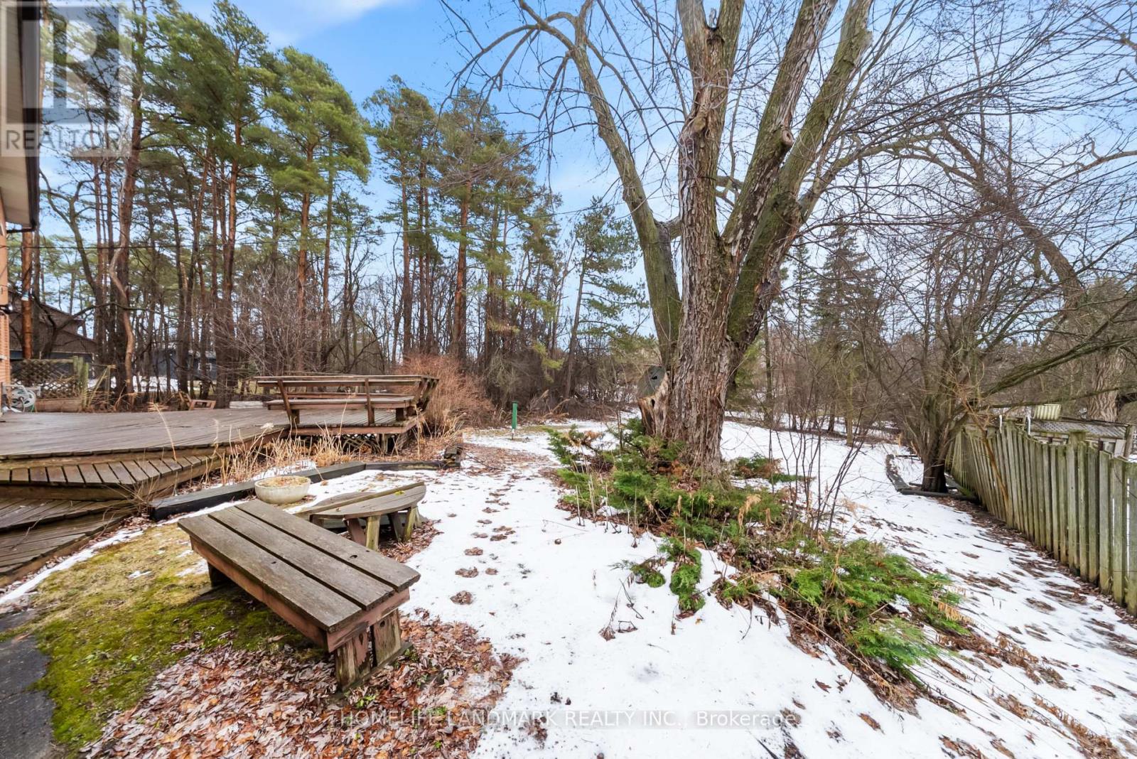 36 Cynthia Crescent, Richmond Hill, Ontario  L4E 2R1 - Photo 44 - N12898230