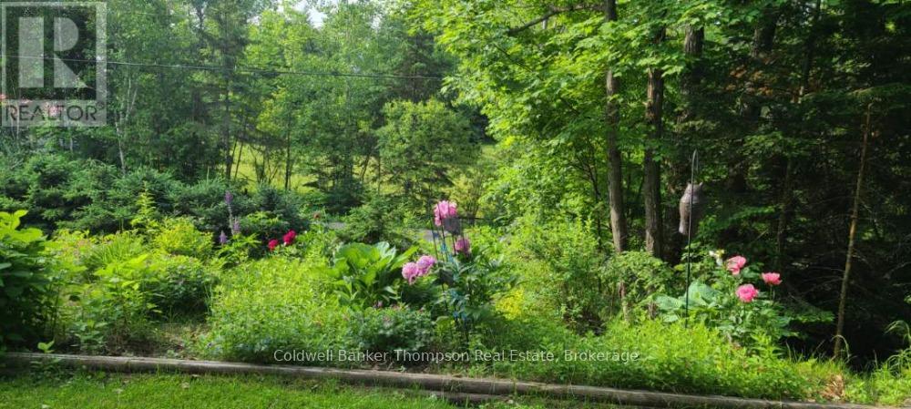 475 Chapman Drive E, Magnetawan, Ontario  P0A 1C0 - Photo 31 - X12887606