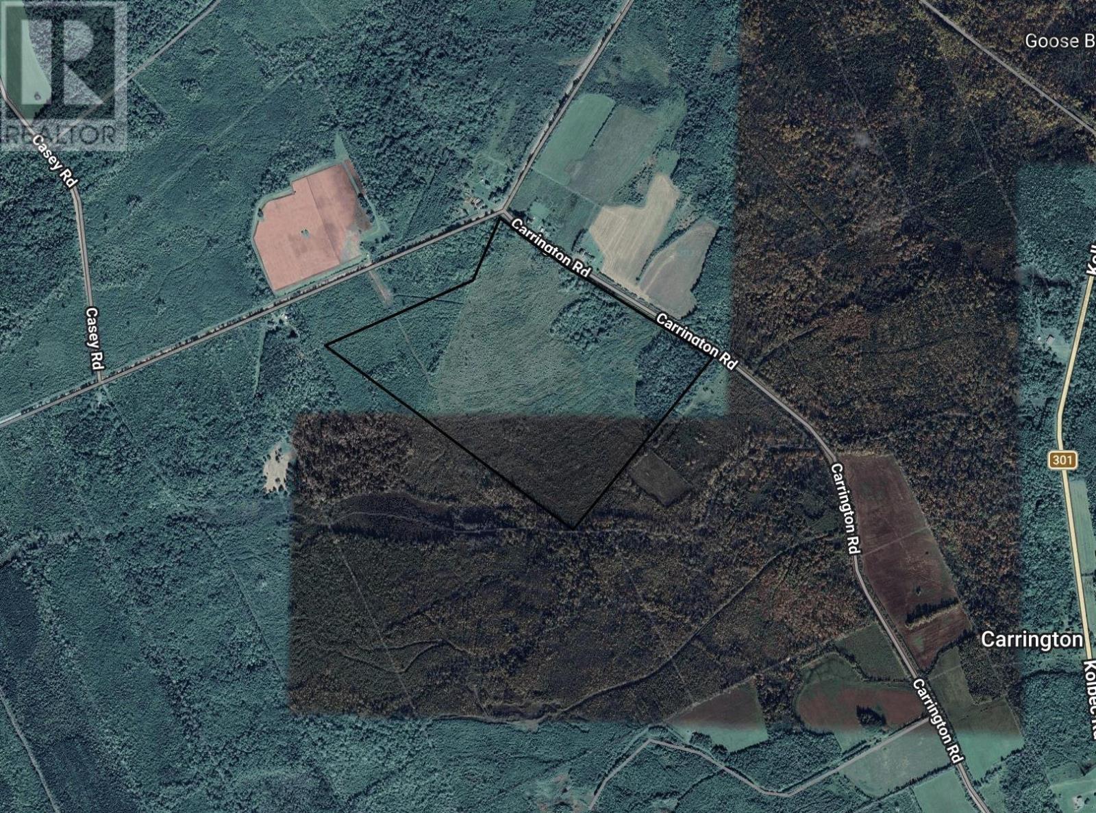 V/l Carrington Road, Carrington, Nova Scotia  B0M 1K0 - Photo 3 - 202604887