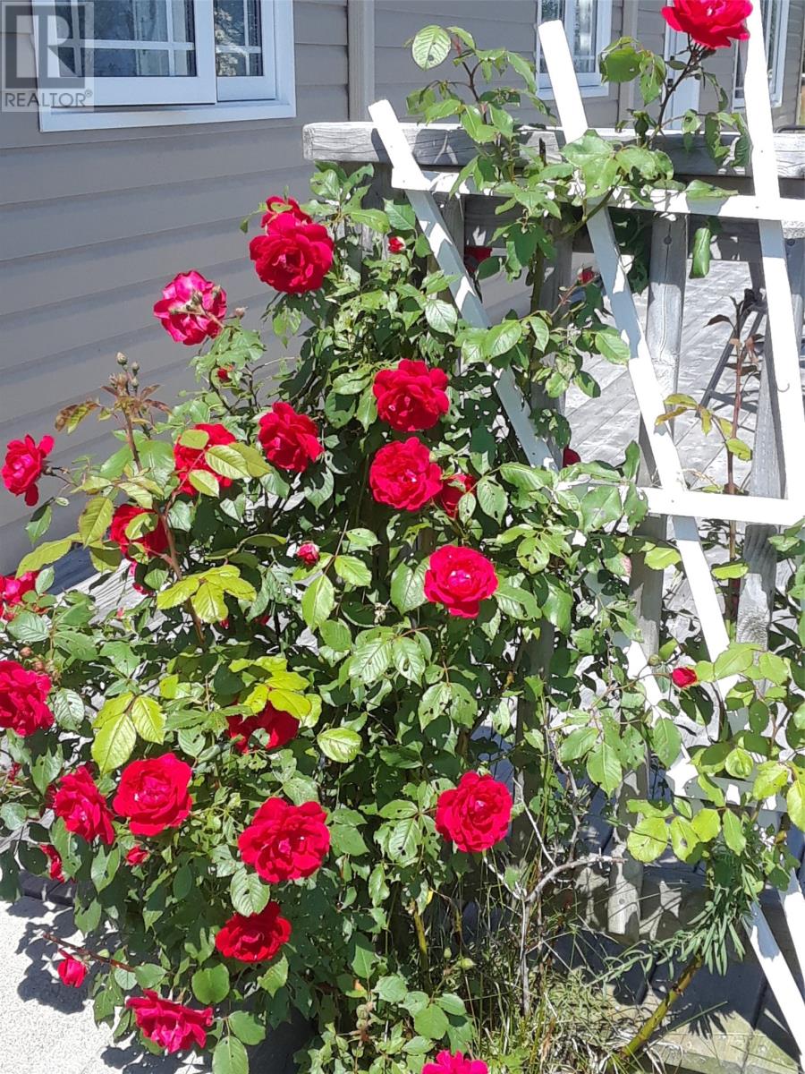 99 Coleys Point South Road, Bay Roberts, Newfoundland & Labrador  A0A 1X0 - Photo 44 - 1295370