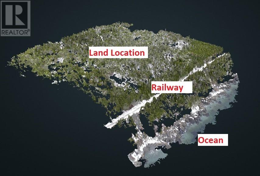 55 Duff's Road Unit#g, Holyrood, Newfoundland & Labrador  A0A 2R0 - Photo 5 - 1295042