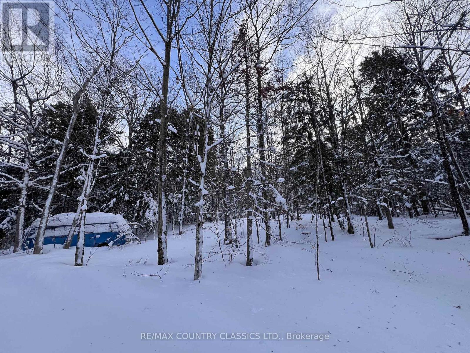 1322a Weslemkoon Lake Road, Tudor And Cashel, Ontario  K0L 1W0 - Photo 42 - X12895156